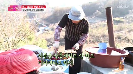 아주 ※특별한※ 천연 농약 덕분에 얻은 나물들!