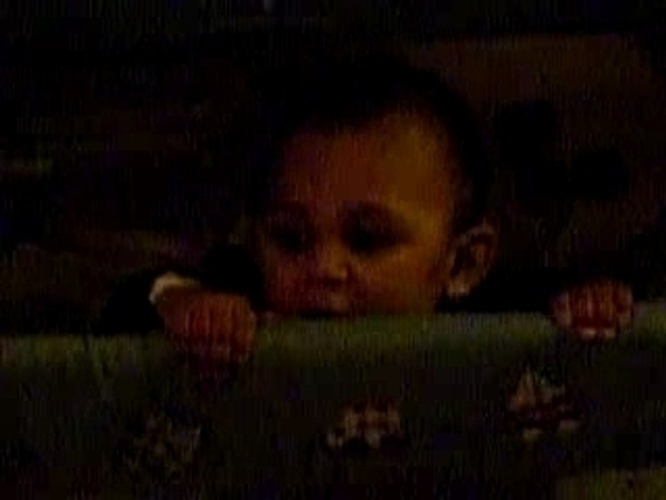 noha debout dans le parc