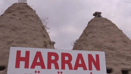 Konik Kubbeli Harran Evleri İlgi Çekiyor