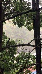 Thunder storm and SICC Golf Club (2) | Anthony S Casey Singapore