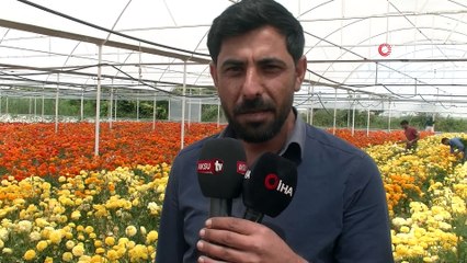 İşçi olarak girdiği seradan patron olarak çıktı