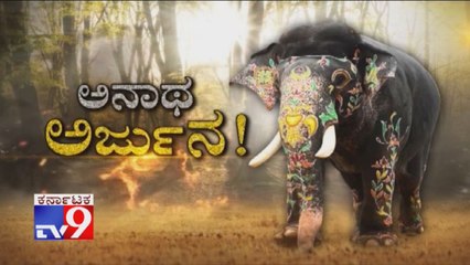 Anatha Arjuna: Dasara Elephant Arjuna Suffering Without Proper Food & Basic Facilities