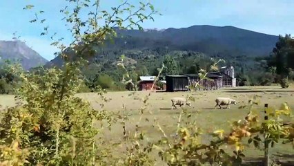 El puente del Arco Iris - Fernando Bercovich