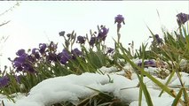 Vuelve el invierno a Europa con frío, nieve y fuertes vientos