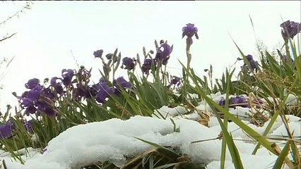 Download Video: Vuelve el invierno a Europa con frío, nieve y fuertes vientos