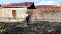 Incêndio ambiental mobiliza Corpo de Bombeiros