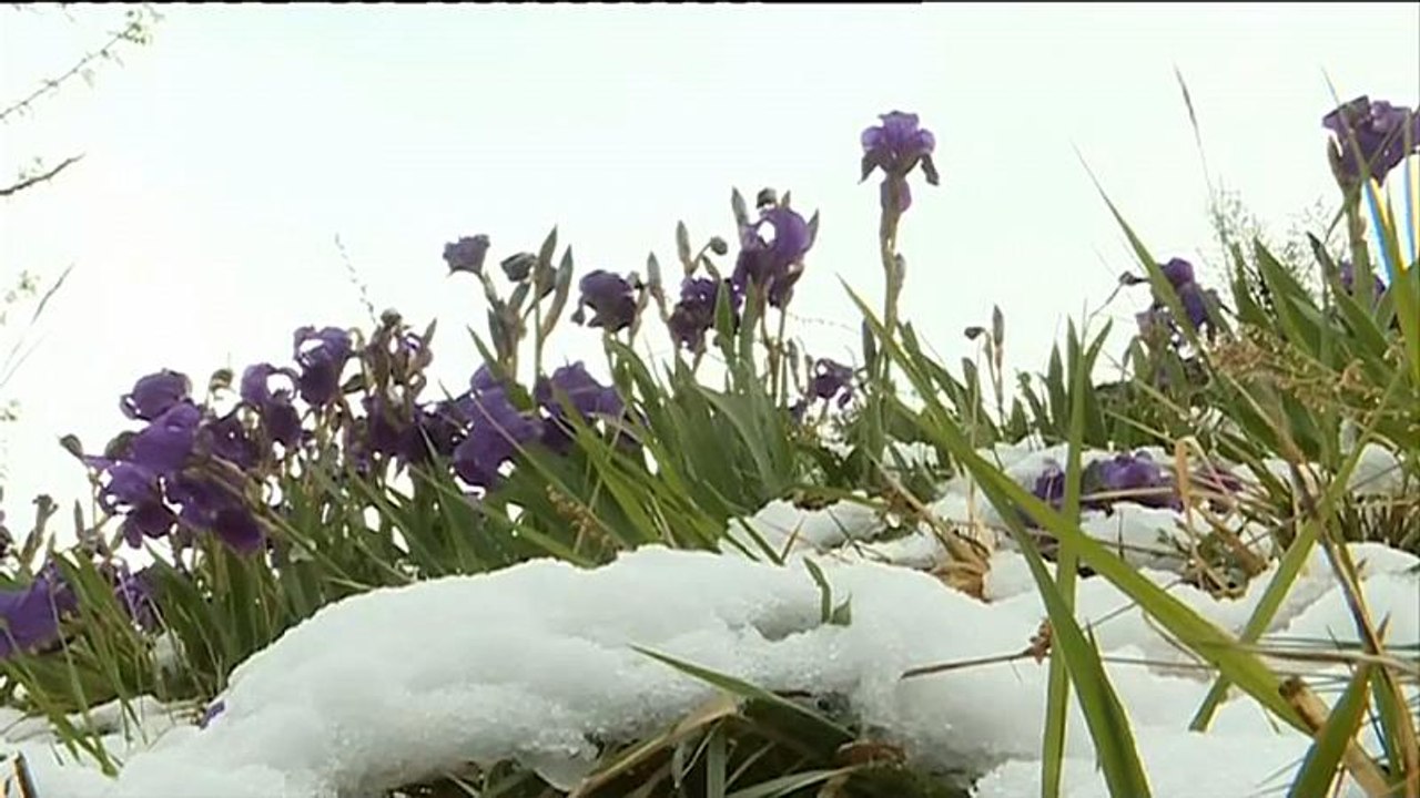 Schnee an der Côte d'Azur