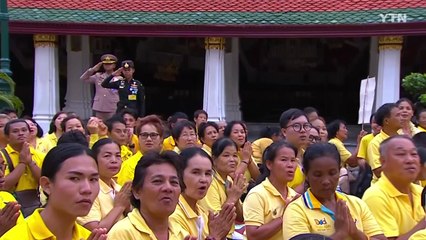 태국 국왕 대관식 후 첫 행진에 20만 명 '노란 물결' / YTN