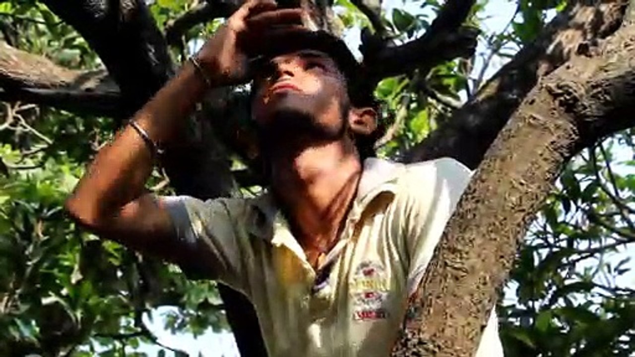Maithili Comedy Video