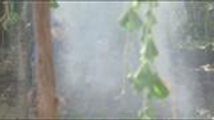 Manuel at Lena, sinusulit ang muli nilang pagsasama