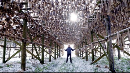 Planet SOS: UN warns of extinction threat