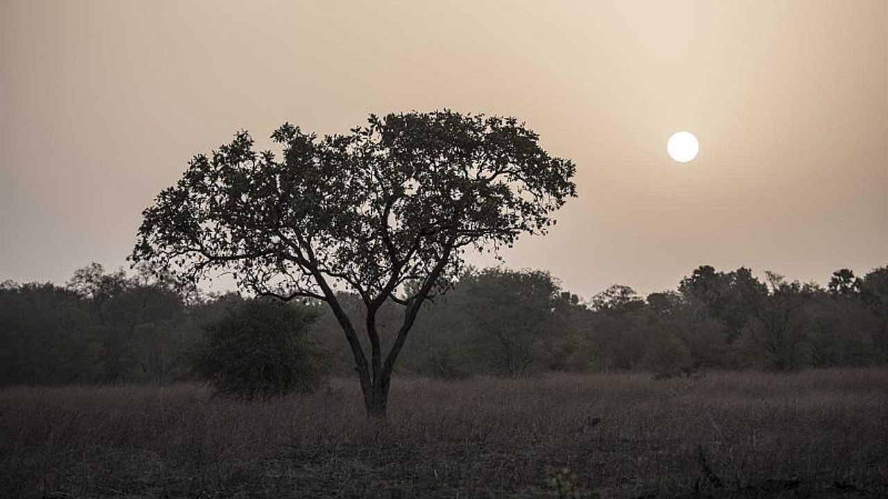 Bénin : les deux touristes français sont toujours portés disparus