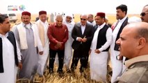 محافظ مطروح يتابع حصاد القمح والشعير بمدينة النجيلة