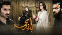 Baandi Last Episode HUM TV Drama 3 May 2019
