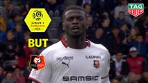 But Mbaye NIANG (35ème) / Toulouse FC - Stade Rennais FC - (2-2) - (TFC-SRFC) / 2018-19