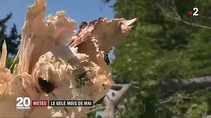 Météo : vague de froid hivernale sur tout le territoire