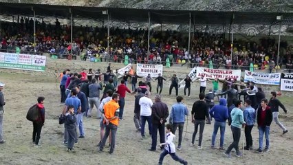 Boğa güreşi festivali - ARTVİN