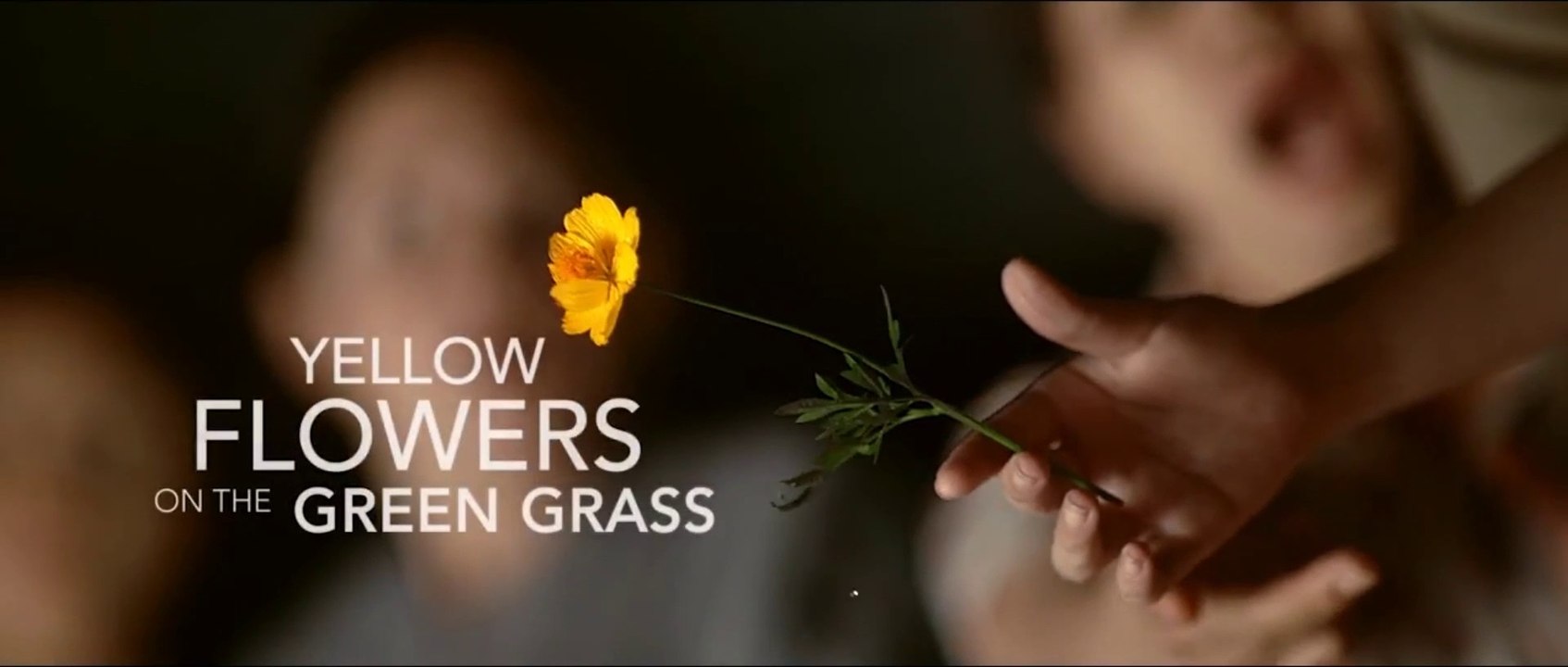YELLOW FLOWERS ON THE GREEN (2015) Trailer VOST-ENG - VIETNAM
