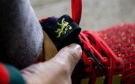 Game Of Thrones Lannister adidas Ultra Boost Sneaker Detailed Look - Game of thrones Final Season