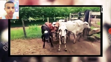 ESSE CAIU DA BIKE E MORREU - TENTE NÃO RIR