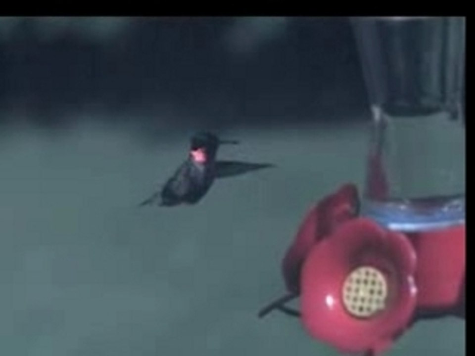 Compilation Slow Motion