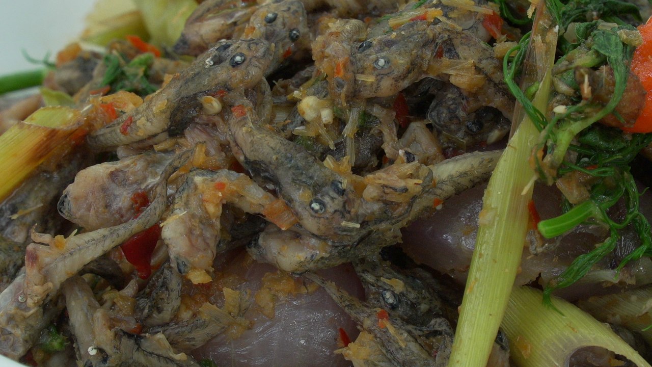 Ant larvae and developing tadpoles among the treasured delicacies of northeastern Thai cuisine