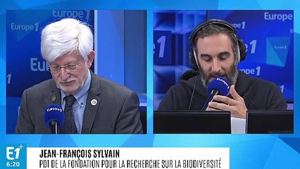 Biodiversité : Jean-François Silvain attend des "éléments de courage politique"