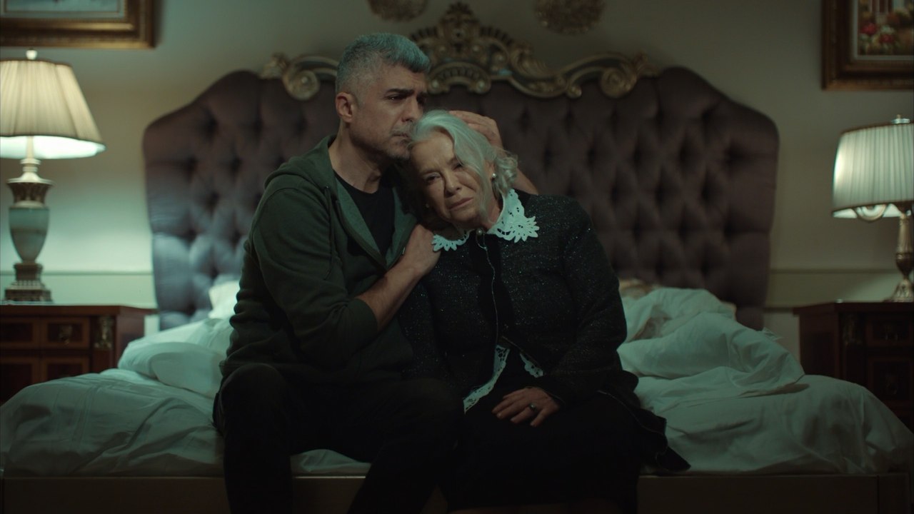İstanbullu Gelin 83. Bölüm Beni Affedin