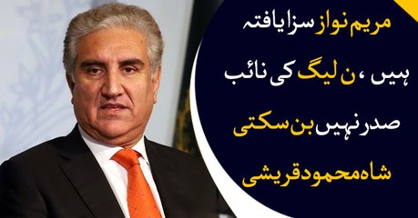 Nomination of ‘disqualified’ Maryam as PML-N VP against SC ruling: PTI