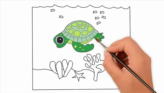 Cartoon drawings for kids. Enjoy a turtle being drawn. Talented artist.