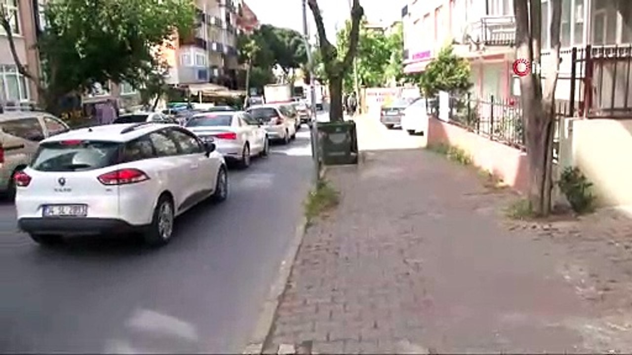 İstanbul’da köpek dehşeti