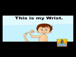 110   Parts Of The Body
