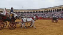 Los caballos, protagonistas del Domingo de Feria en Sevilla