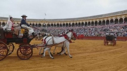 Los caballos, protagonistas del Domingo de Feria en Sevilla