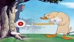 Tom y Jerry en Español - Little Quacker  + Down and Outing - Dibujos animados para niños
