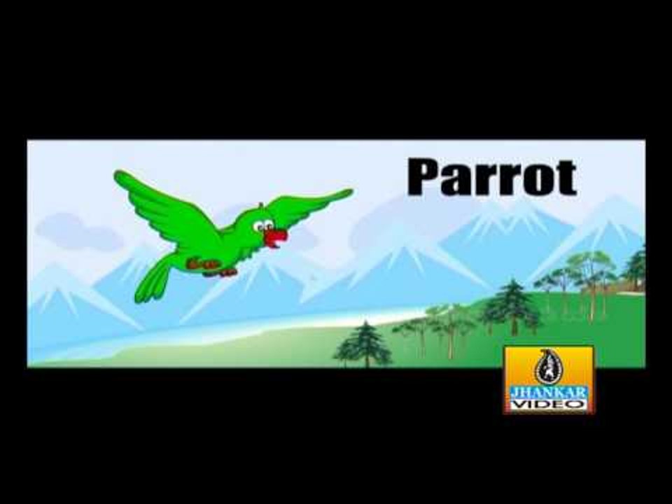 Birds - LKG