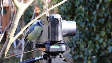 홈카지노 바로가기 ▶  yong79。com 슈퍼카지노 かべ한다.