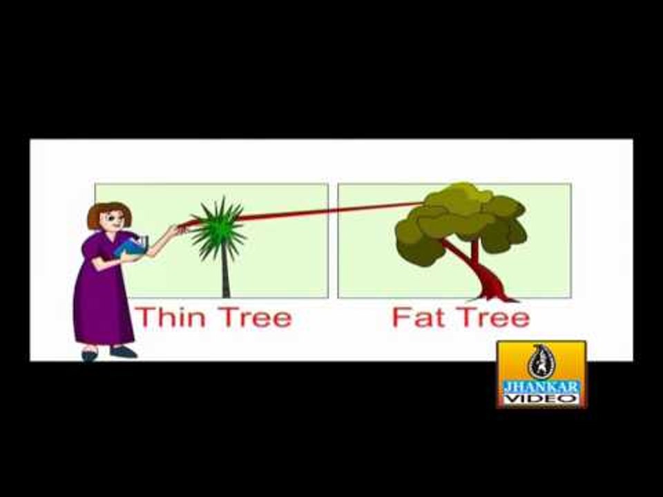 129   Thin Fat