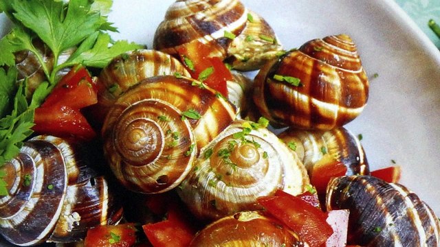 SLOW FOOD RICETTE DI SICILIA OSTERIA RONCATE OSNAGO LOMBARDIA ITALY SICILY
