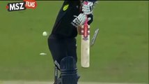 Pakistan Unbelievable victory vs England  3rd ODI 2010