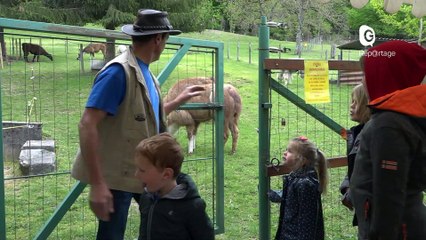 Reportage - Une ferme à lamas dans le Voironnais, Ballalama