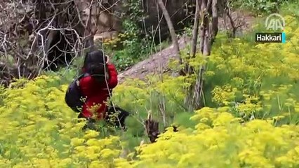 Çukurca'nın "huzuru" objektiflere yansıdı