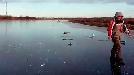 Ce jeune furet n'arrive pas à sortir un poisson du lac gelé... Trop dur