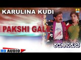 Pakshi Gale | Karulina Kudi | Audio Song | Vishnuvardhan, Ambarish, Sithara | Rajan-Nagendra