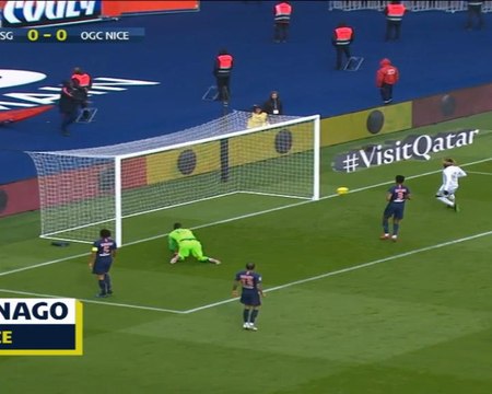 كرة قدم: الدوري الفرنسي: بي اس جي 1-1 نيس