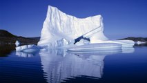 La banquise arctique fond et de nouvelles espèces apparaissent !