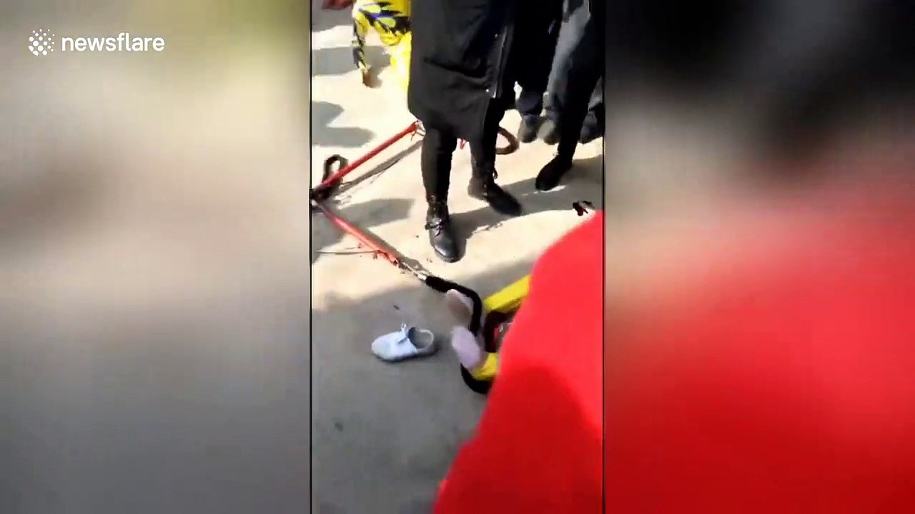 Chinese acrobats plummet to the ground during aerial performance