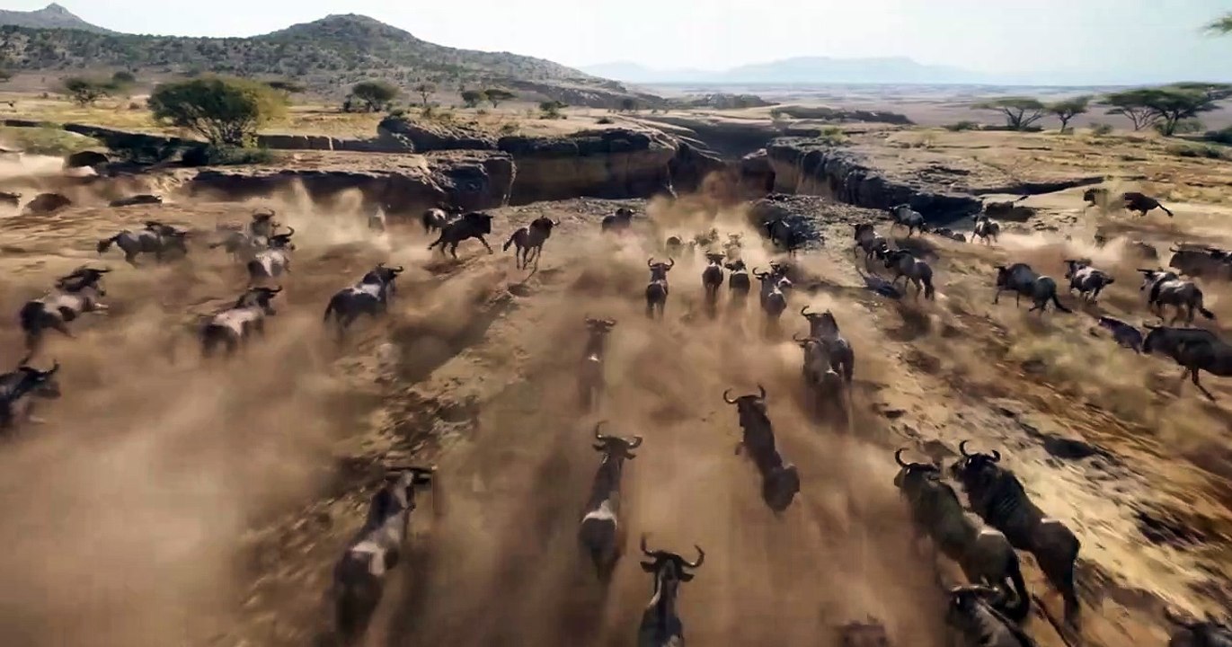 the lion king trailer dailymotion