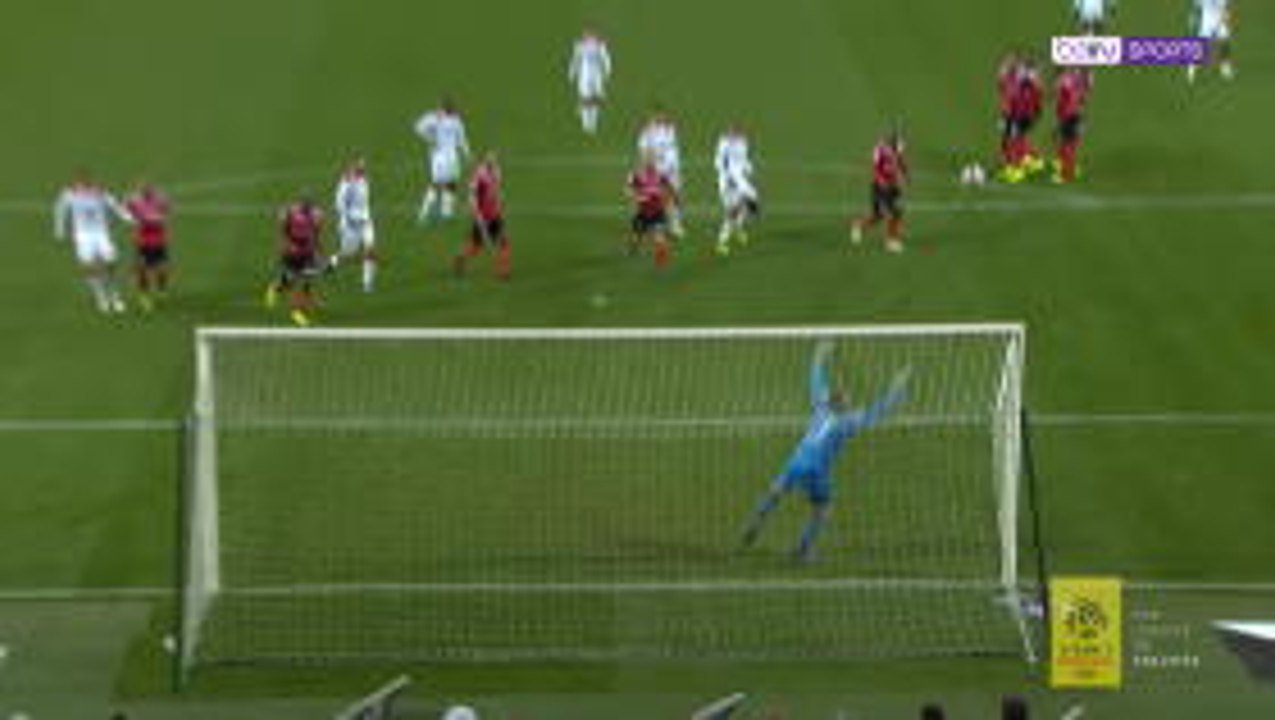 Ligue 1's team of the month featuring Cavani