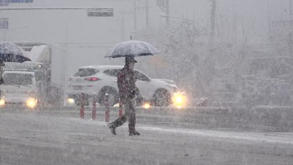 [날씨] 서울 최대 첫눈, 8.8cm...내일 맑고 추위 풀려 / YTN